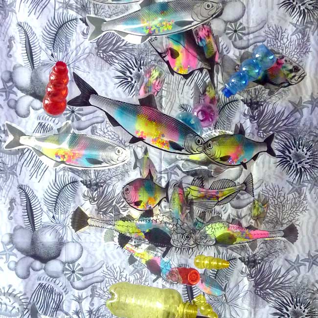 Transparenz in der Nordsee (Transparency in the North Sea)