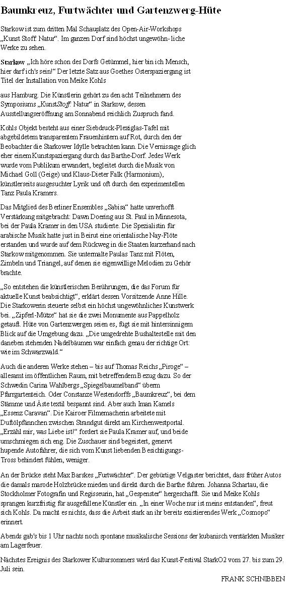 Kunststoff Natur Ostsee Zeitung Ausstellungsbericht